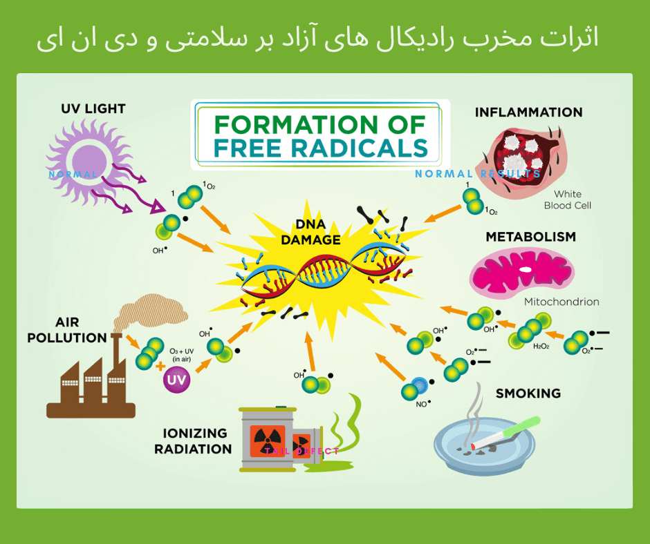 • فروشگاه رحیمی